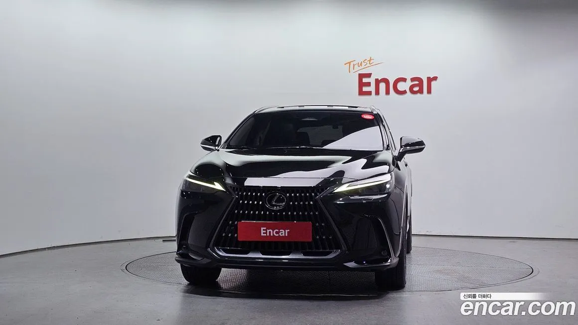 Lexus NX 2022 из KR, фото 3