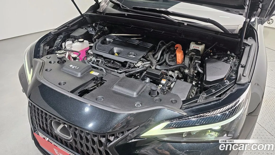 Lexus NX 2022 из KR, фото 6