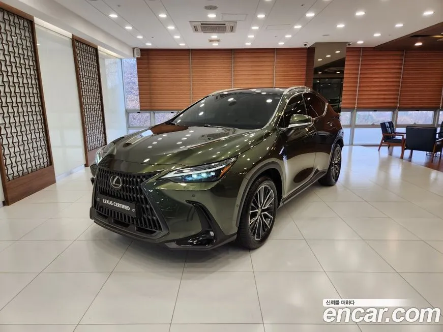 Lexus NX 2024 из KR, фото 1