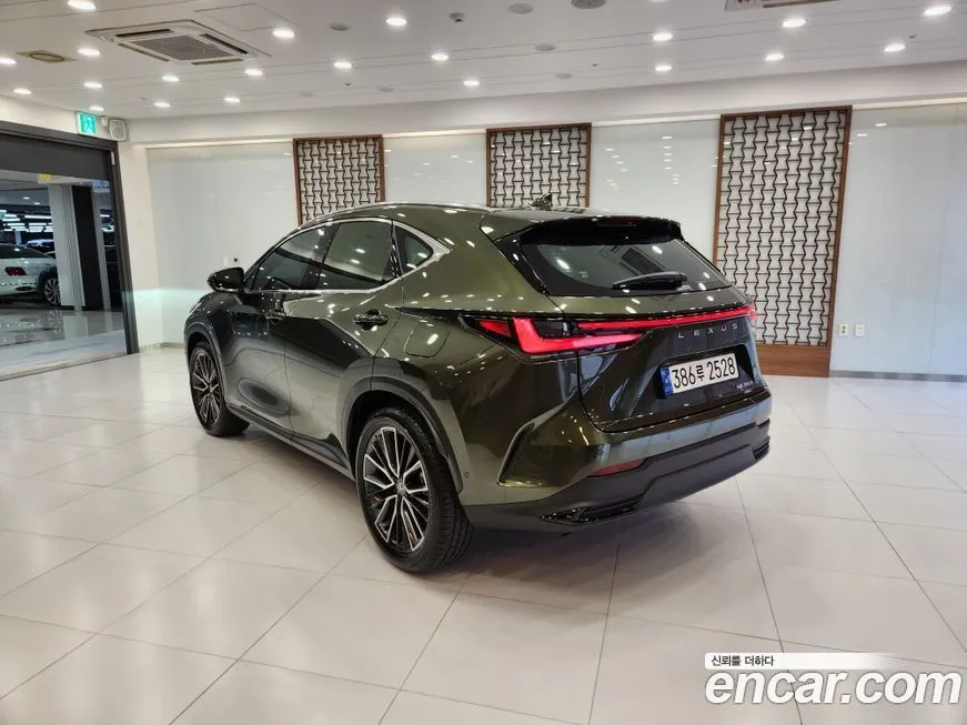 Lexus NX 2024 из KR, фото 2