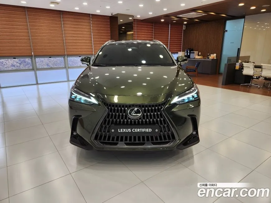 Lexus NX 2024 из KR, фото 3