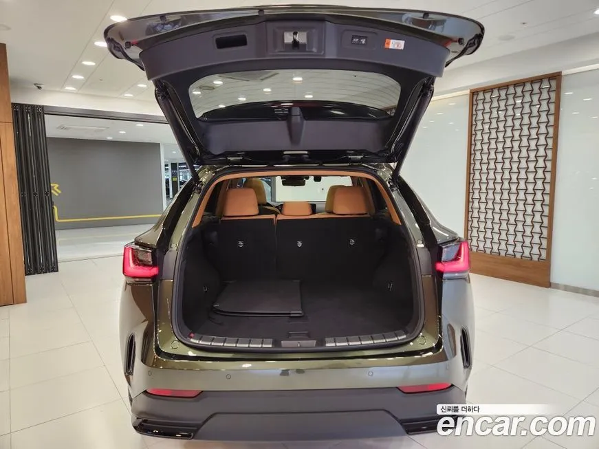 Lexus NX 2024 из KR, фото 5