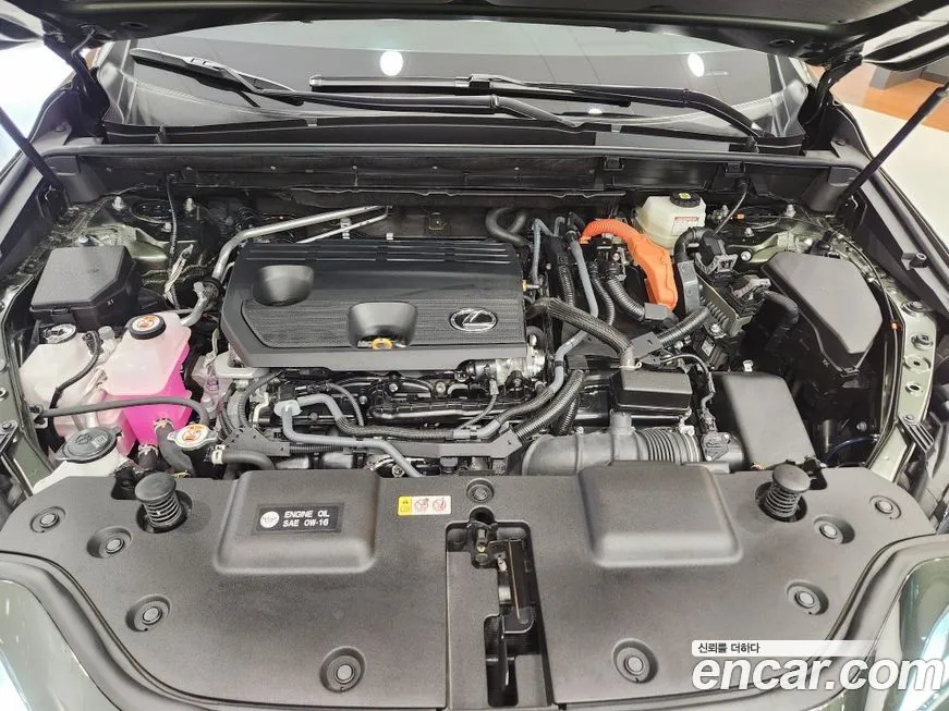 Lexus NX 2024 из KR, фото 7