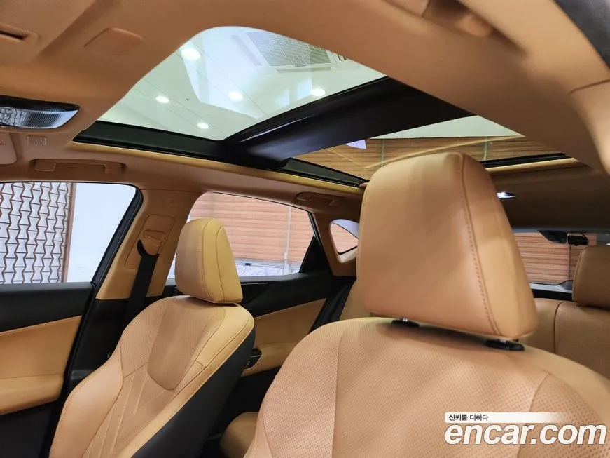 Lexus NX 2024 из KR, фото 8