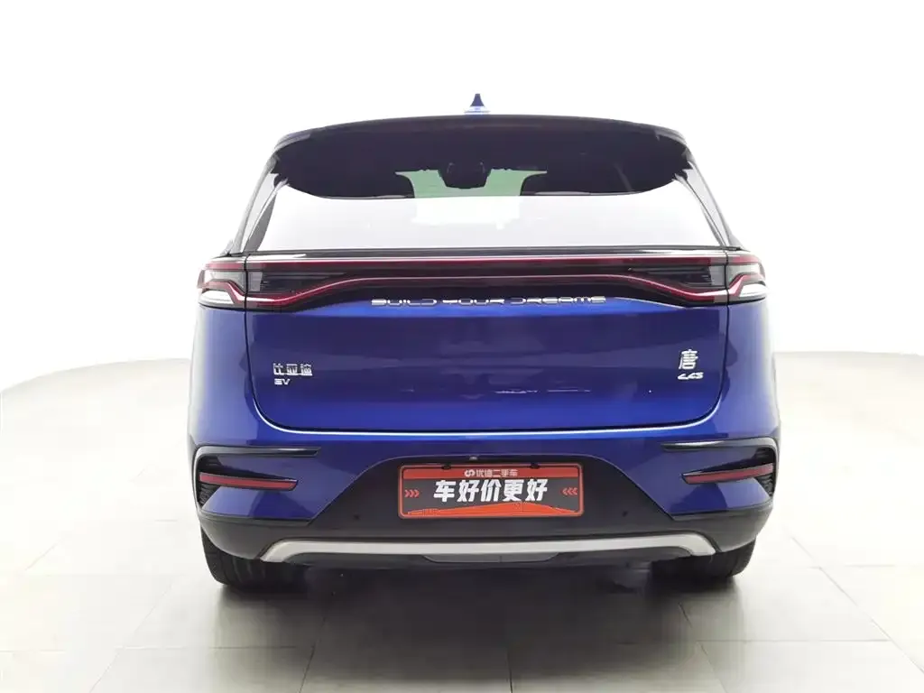 BYD Tang New Energy 2022 из CN, фото 2