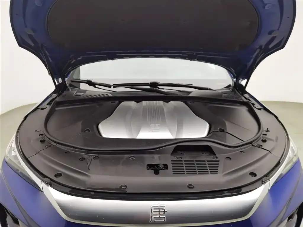 BYD Tang New Energy 2022 из CN, фото 7