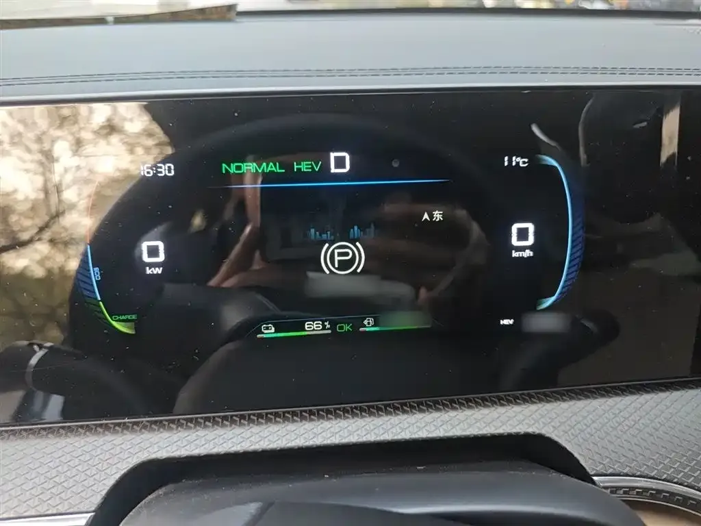 BYD Pro New Energy — фото 3