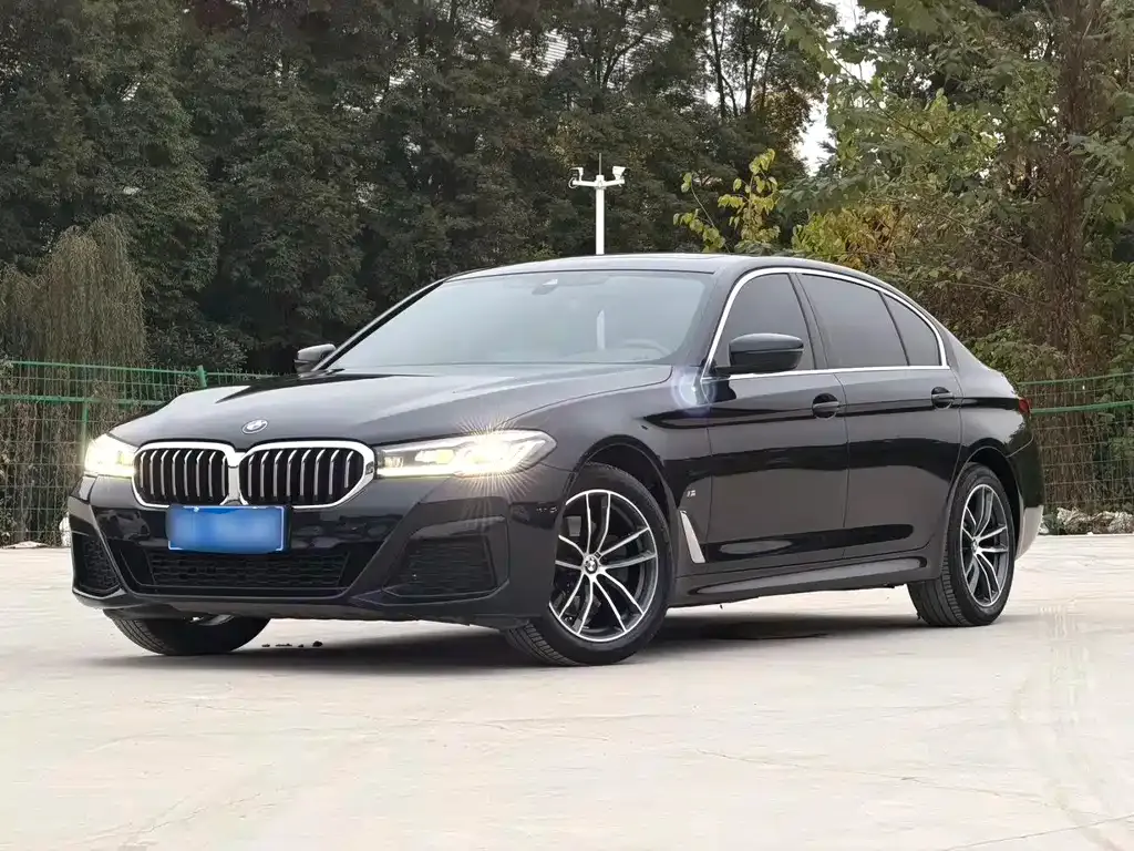 BMW 5 Series 2021 из CN, фото 1