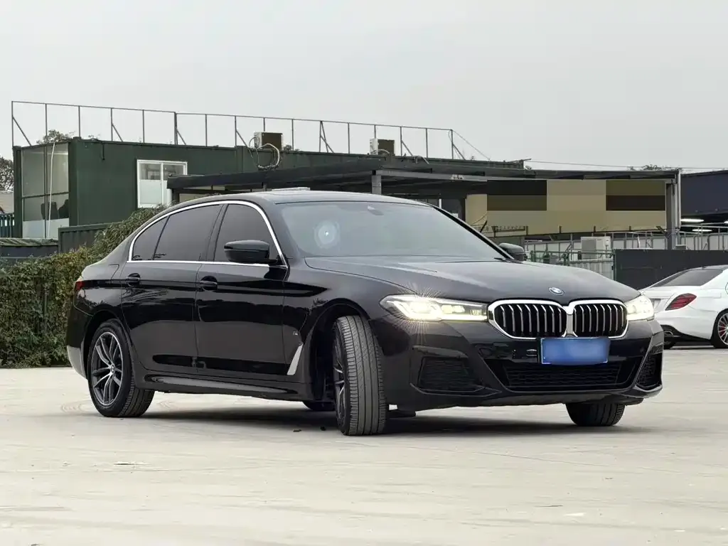 BMW 5 Series 2021 из CN, фото 3