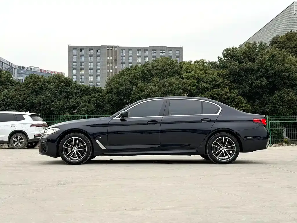 BMW 5 Series 2021 из CN, фото 5