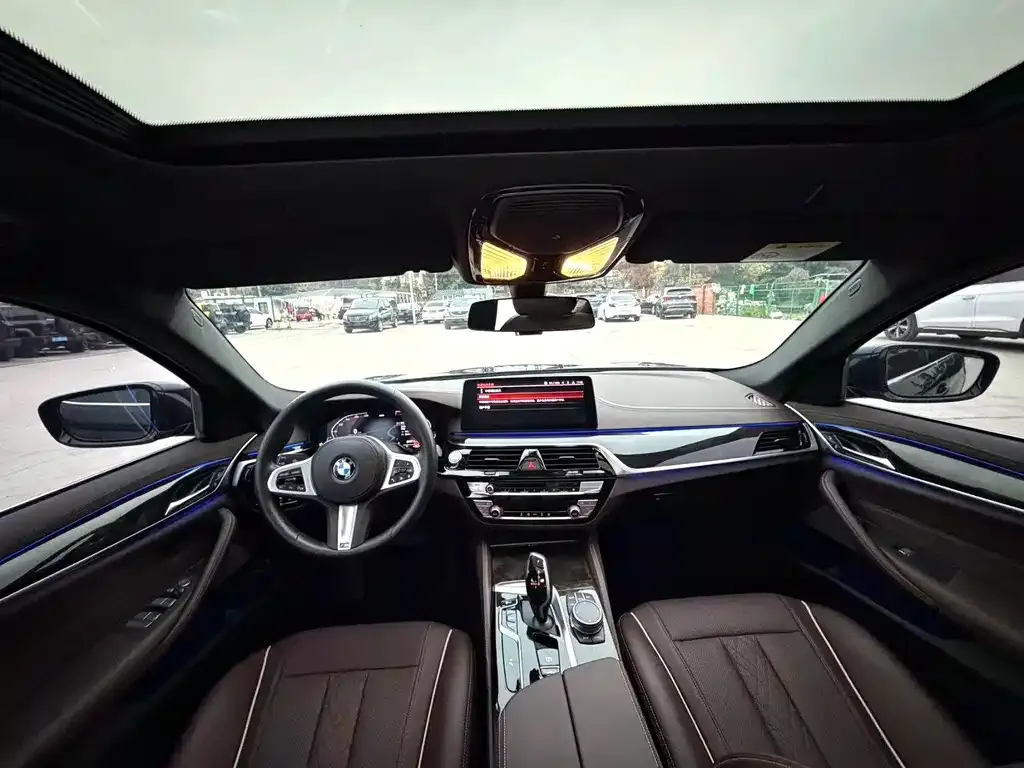 BMW 5 Series 2021 из CN, фото 4