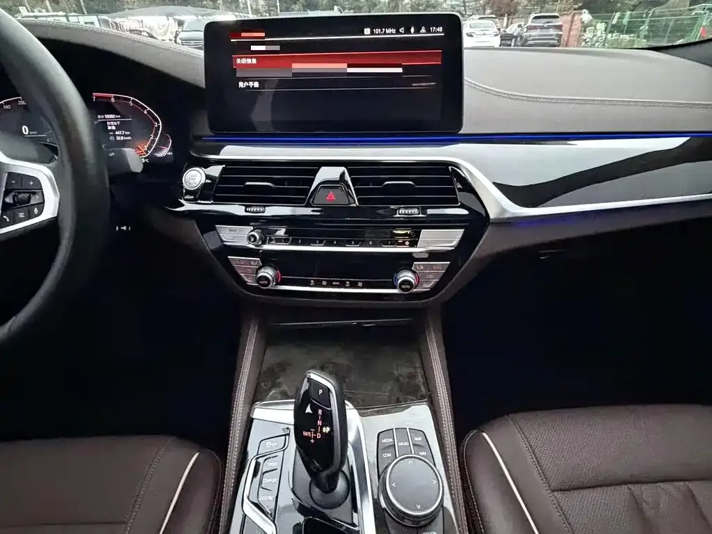 BMW 5 Series 2021 из CN, фото 6