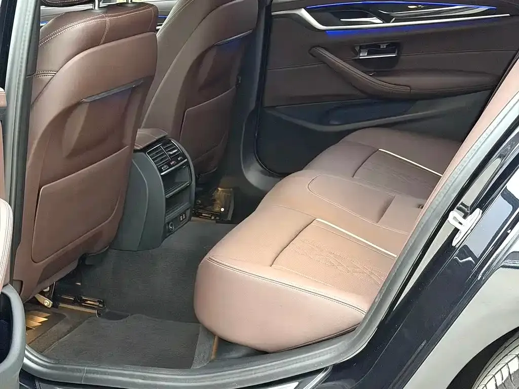 BMW 5 Series 2021 из CN, фото 8
