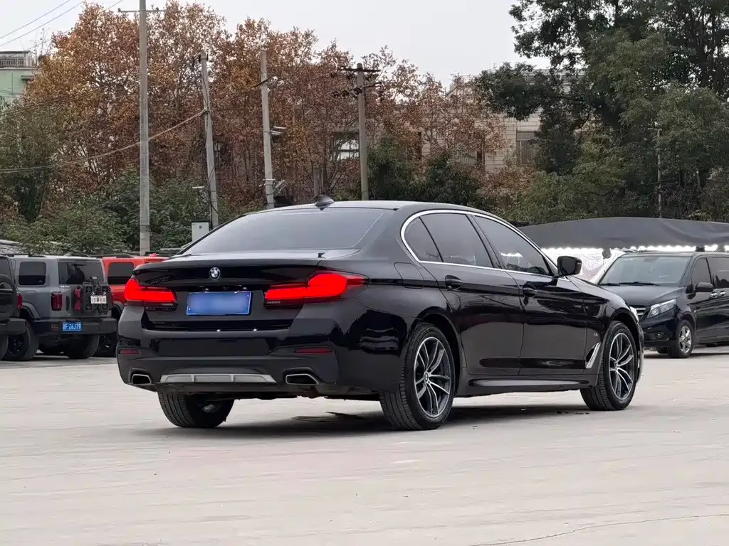 BMW 5 Series 2021 из CN, фото 7