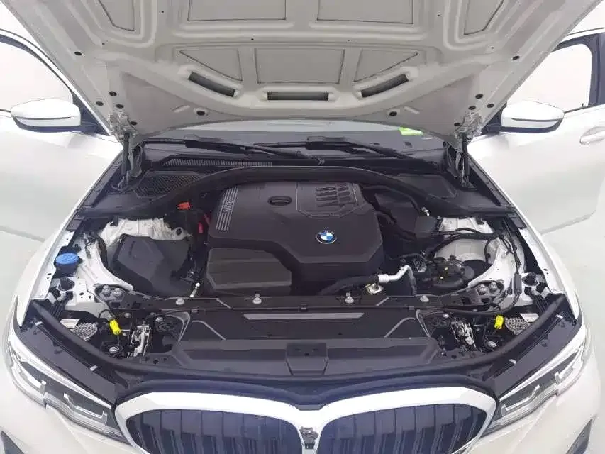 BMW 3 Series 2021 из CN, фото 8
