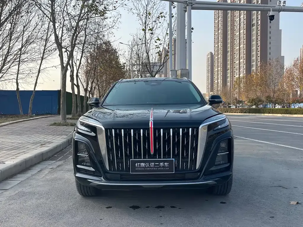 Hongqi HS3 PHEV 2025 из CN, фото 10