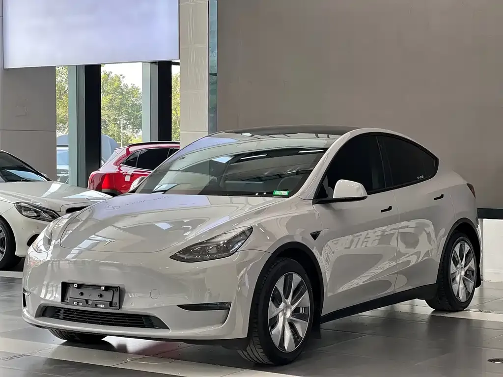 Tesla Model Y — фото 1