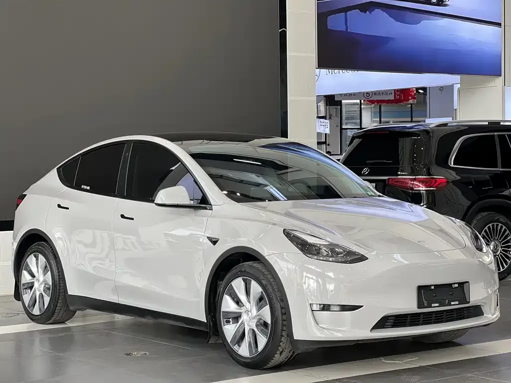 Tesla Model Y — фото 3