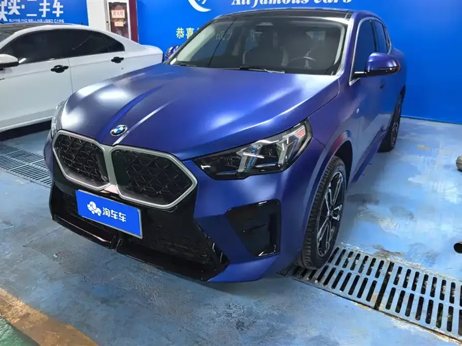 BMW X2 (Import) 2024 из CN, фото 1