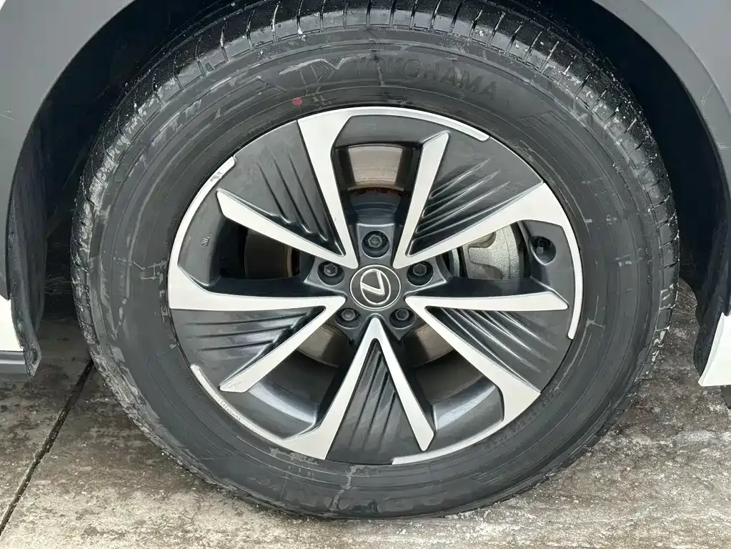 Lexus RZ 2023 из CN, фото 9