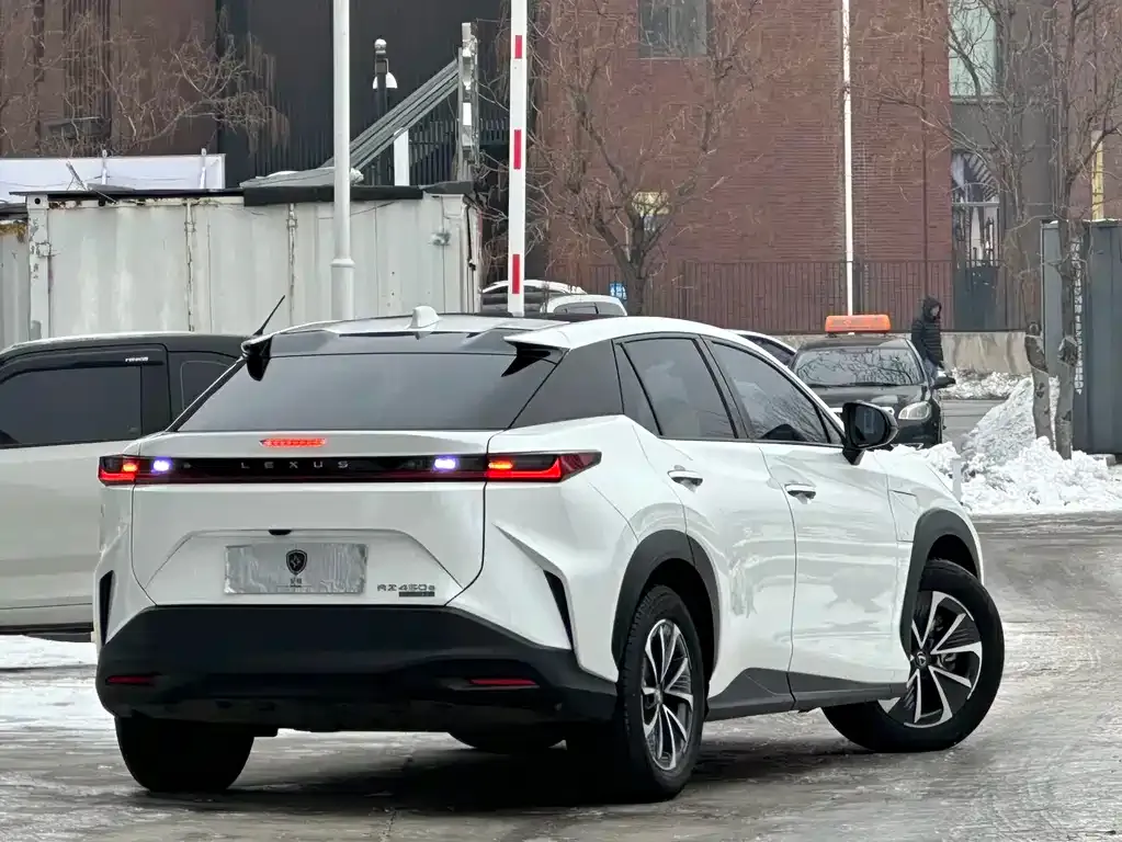 Lexus RZ 2023 из CN, фото 10