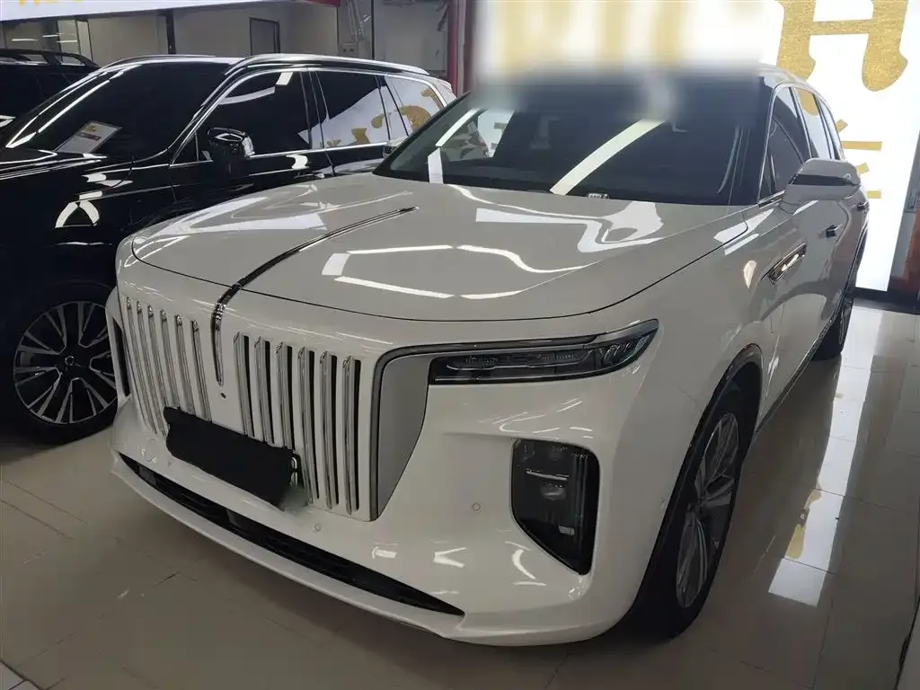 Hongqi E-HS9 2023 из CN, фото 1