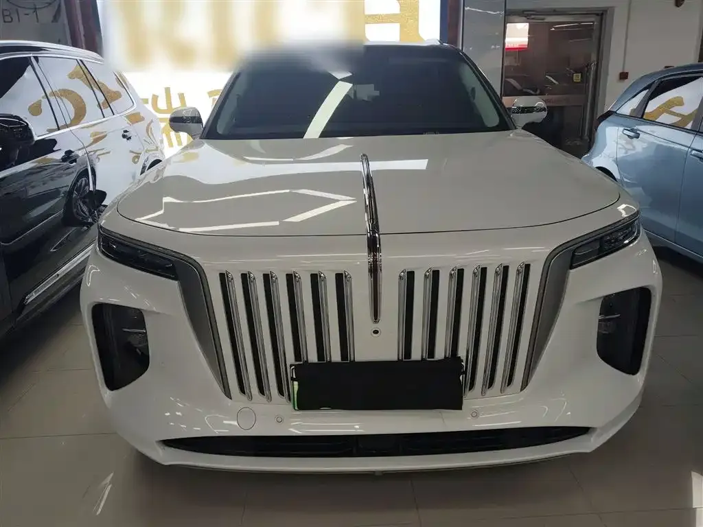 Hongqi E-HS9 2023 из CN, фото 7