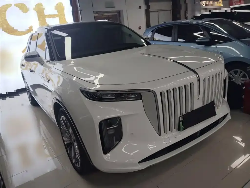 Hongqi E-HS9 2023 из CN, фото 9