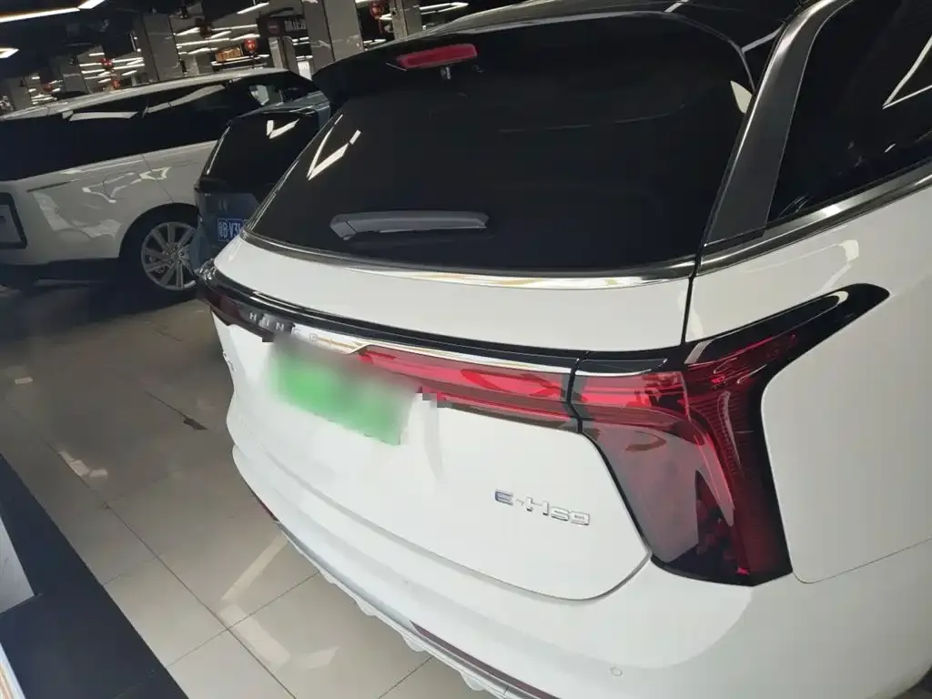 Hongqi E-HS9 2023 из CN, фото 2