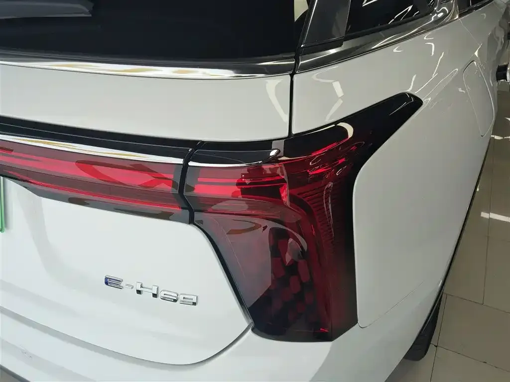 Hongqi E-HS9 2023 из CN, фото 4