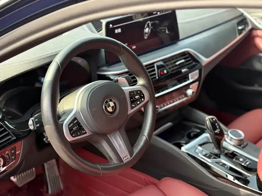 BMW 5 Series 2022 из CN, фото 5