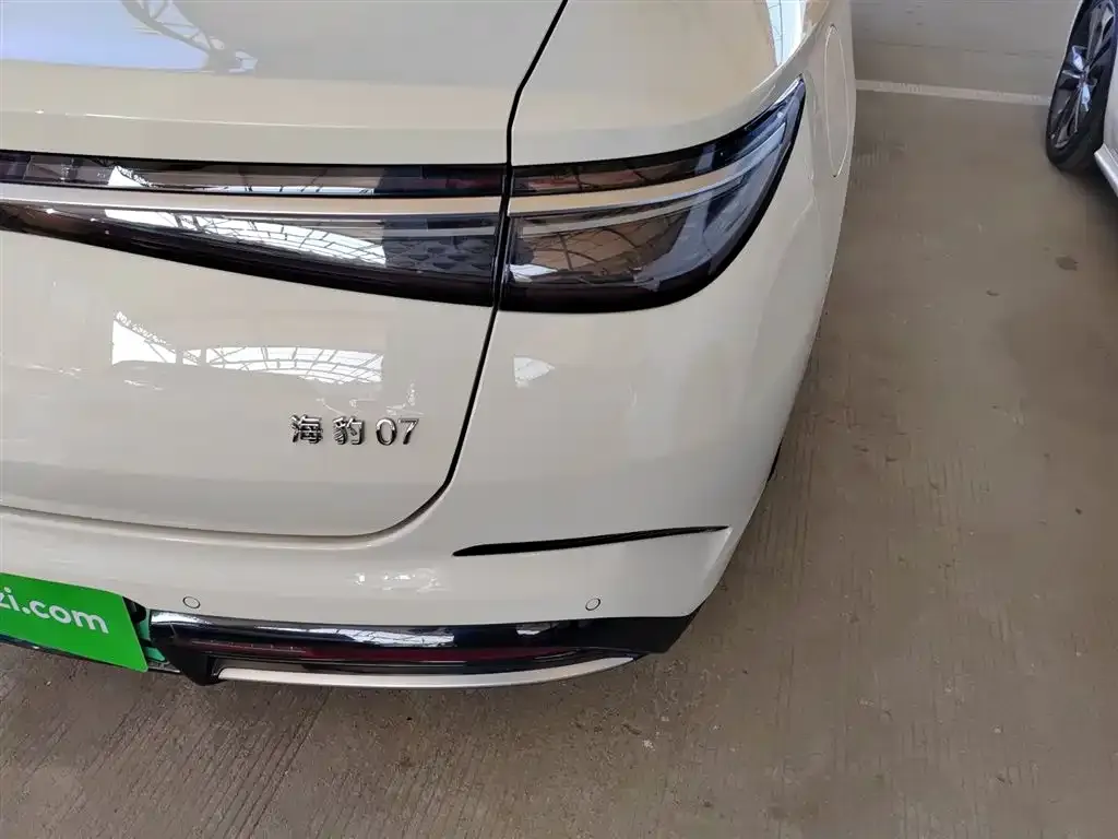 BYD Seal 07 DM-i 2024 из CN, фото 3