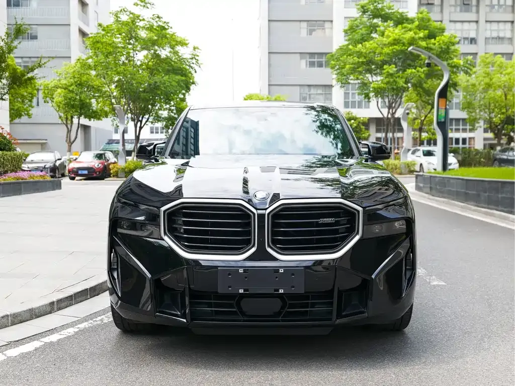 BMW XM — фото 4