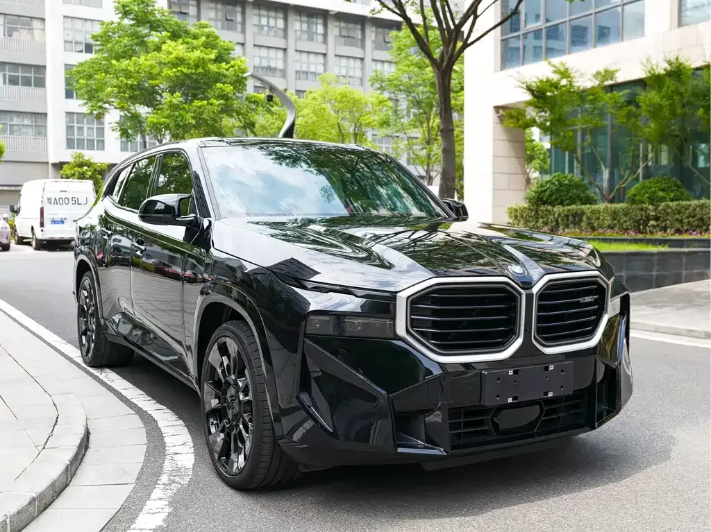 BMW XM — фото 10