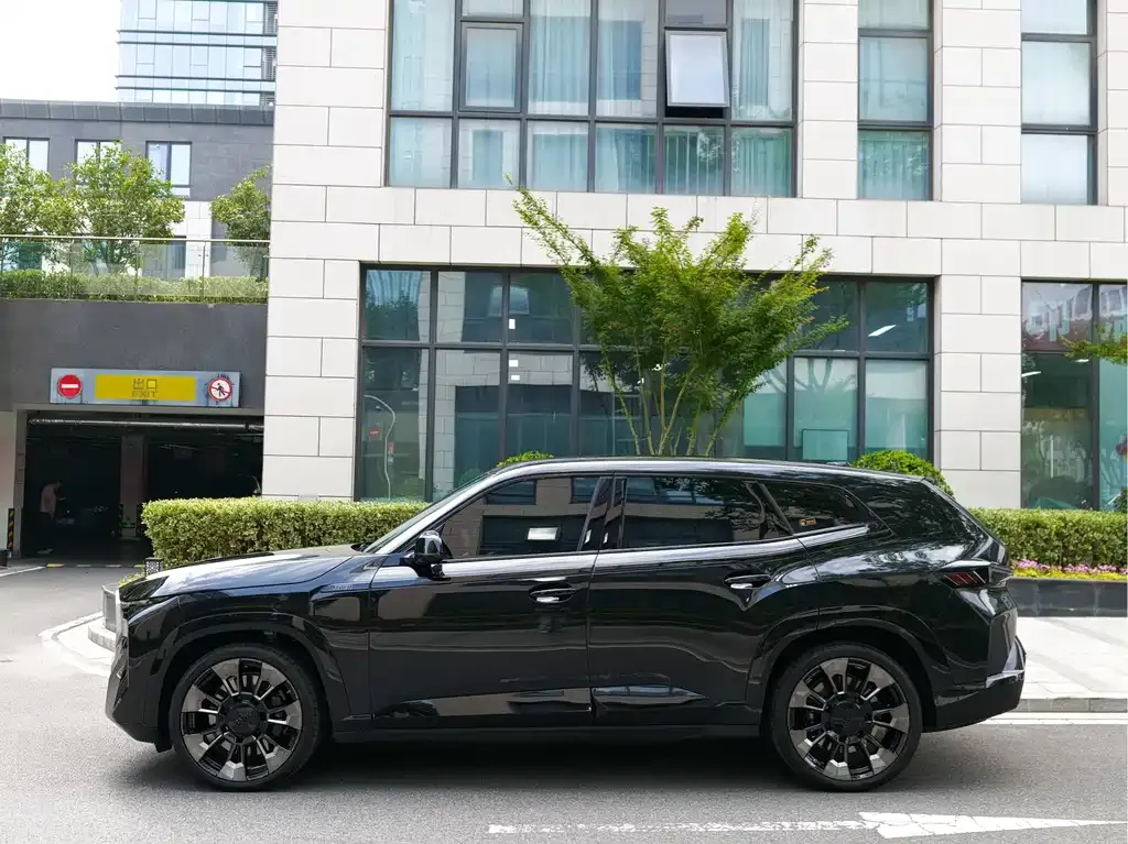 BMW XM — фото 6