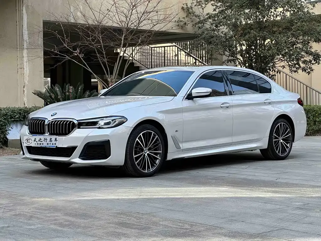 BMW 5 Series 2021 из CN, фото 1