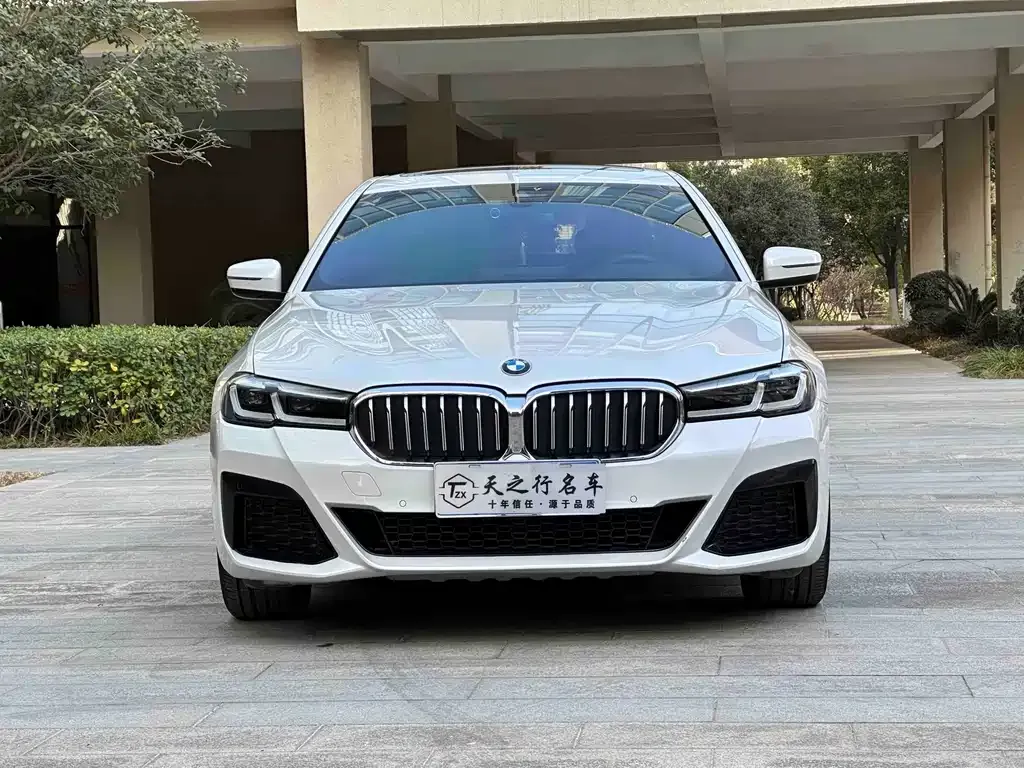 BMW 5 Series 2021 из CN, фото 6