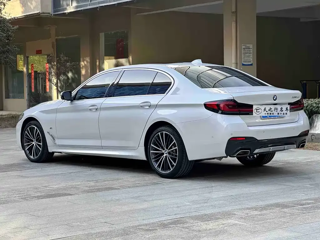 BMW 5 Series 2021 из CN, фото 5
