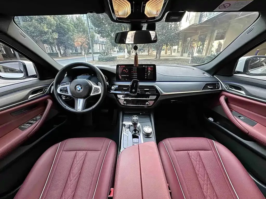 BMW 5 Series 2021 из CN, фото 9