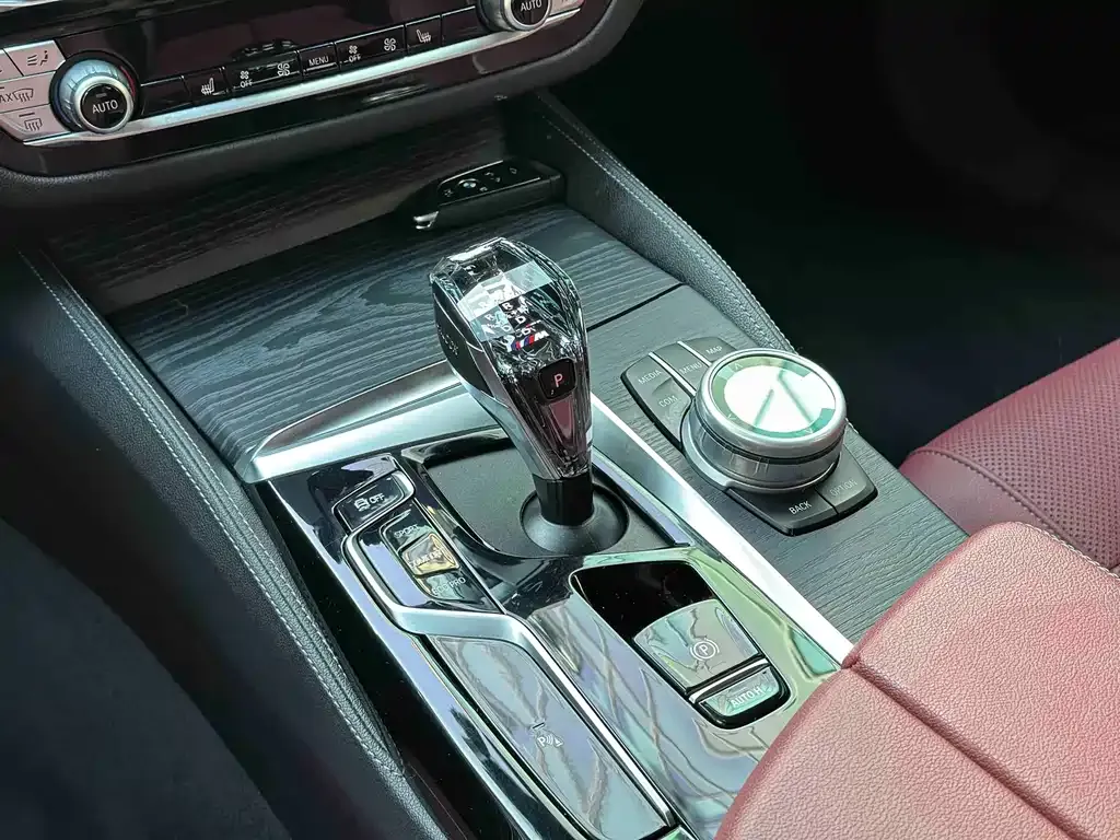 BMW 5 Series 2021 из CN, фото 7