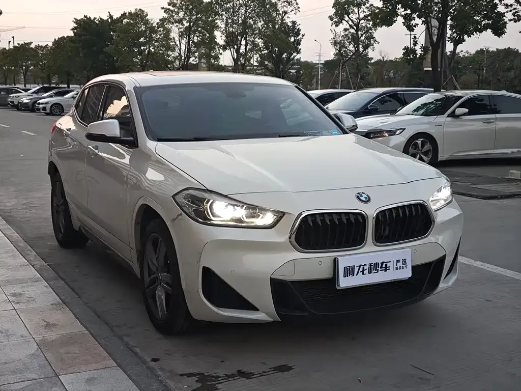 BMW X2 2021 из CN, фото 5