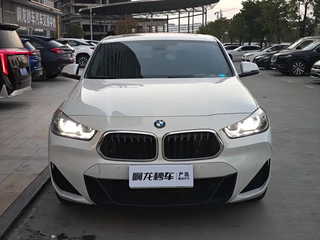 BMW X2 2021 из CN, фото 4