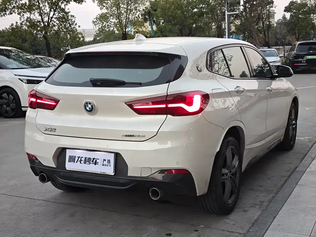 BMW X2 2021 из CN, фото 10