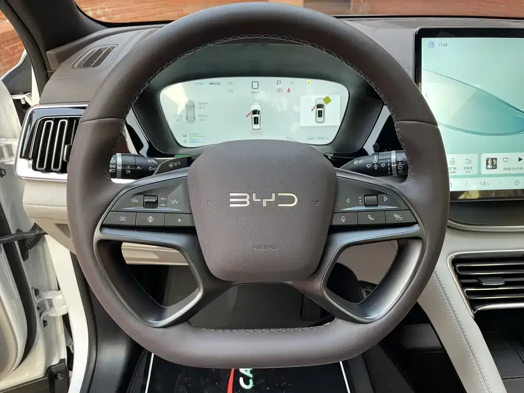 BYD PLUS New Energy 2025 из CN, фото 2
