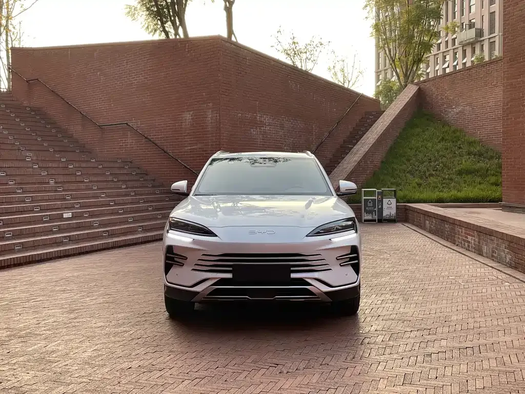 BYD PLUS New Energy 2025 из CN, фото 3