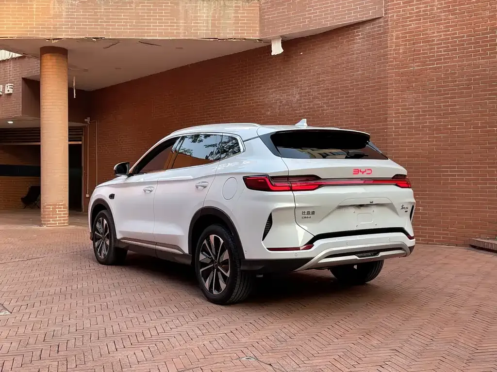 BYD PLUS New Energy 2025 из CN, фото 9