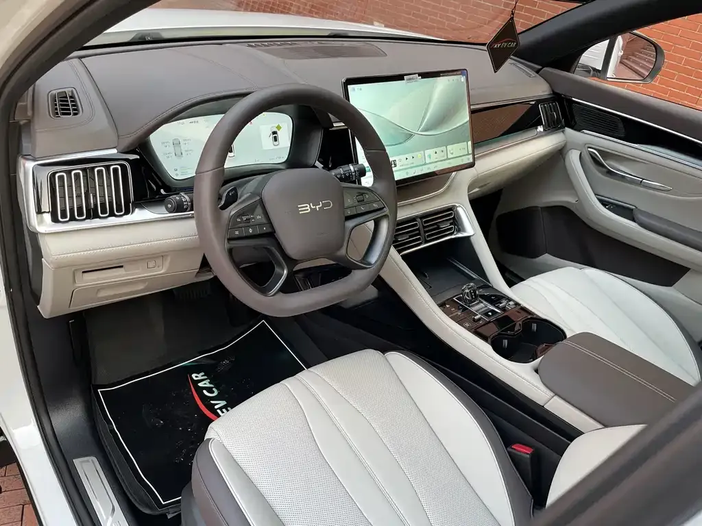 BYD PLUS New Energy 2025 из CN, фото 7