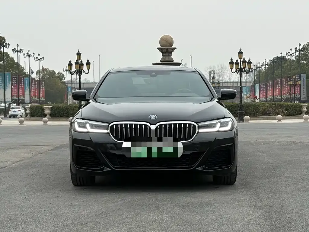 BMW 5 Series New Energy 2023 из CN, фото 6
