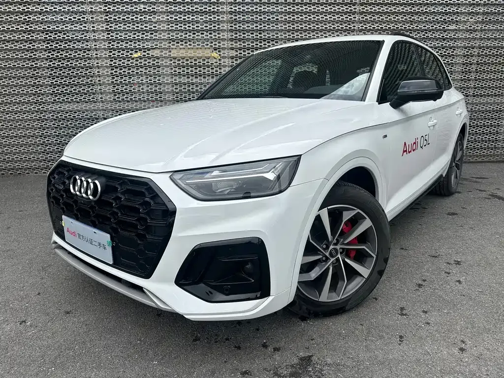 Audi Q5L 2024 из CN, фото 1