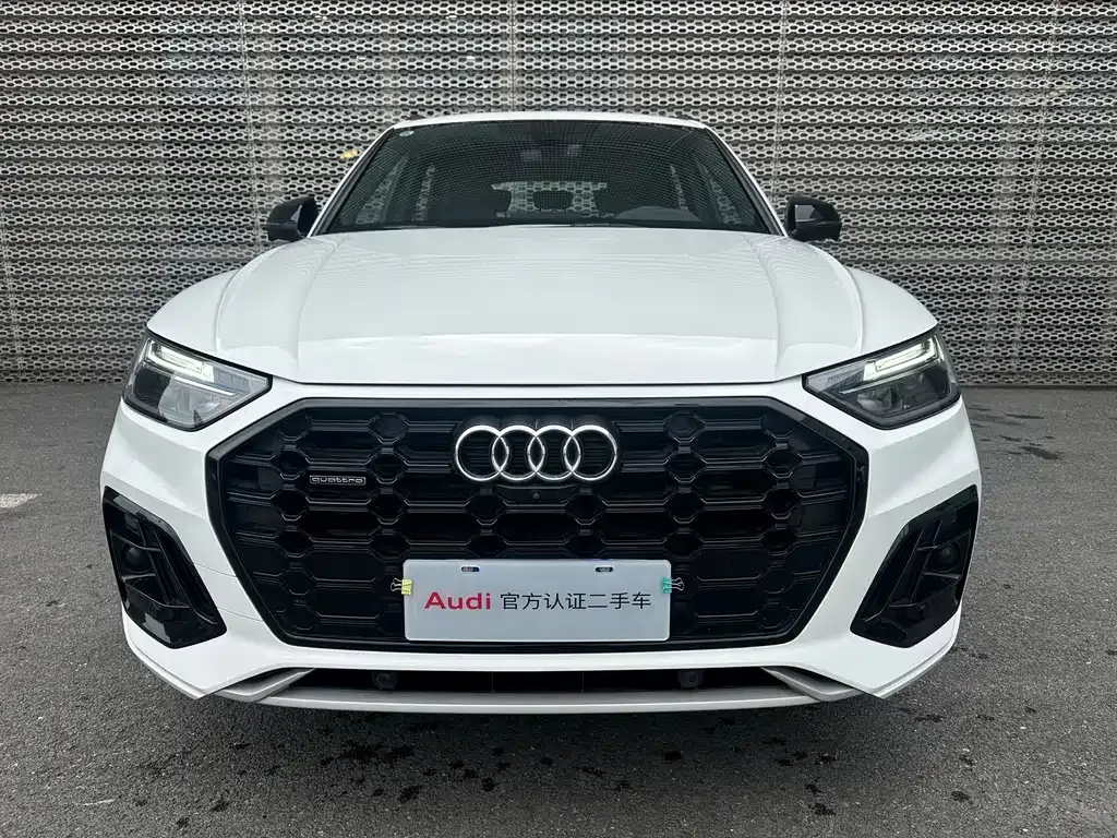 Audi Q5L 2024 из CN, фото 10